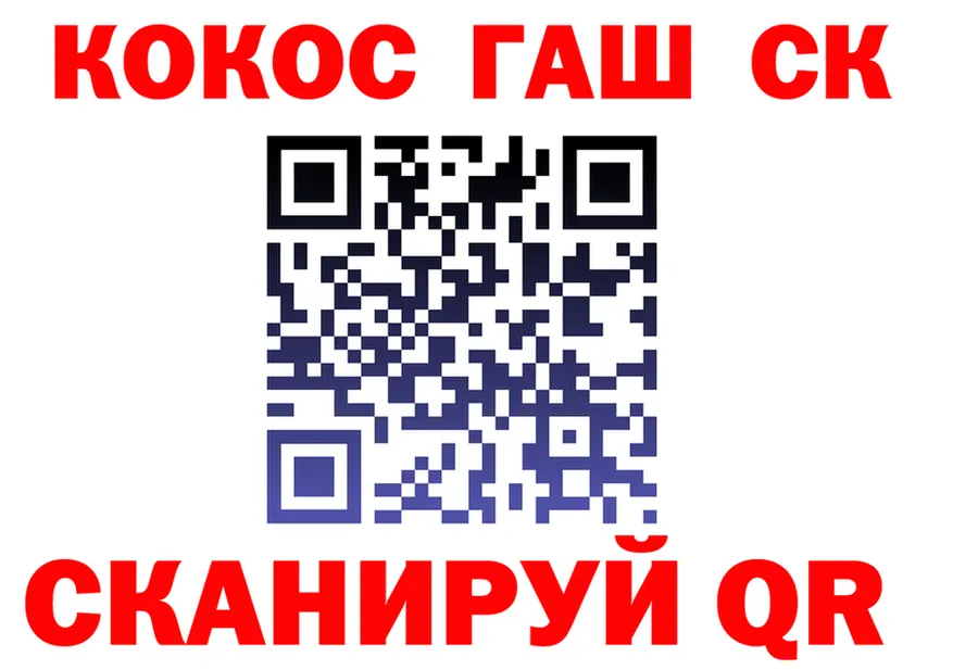 А ПВП СК вход площадка OMG Мончегорск