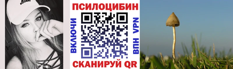 Галлюциногенные грибы MAGIC MUSHROOMS  Мончегорск 