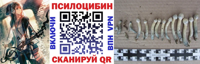 Галлюциногенные грибы мухоморы Мончегорск