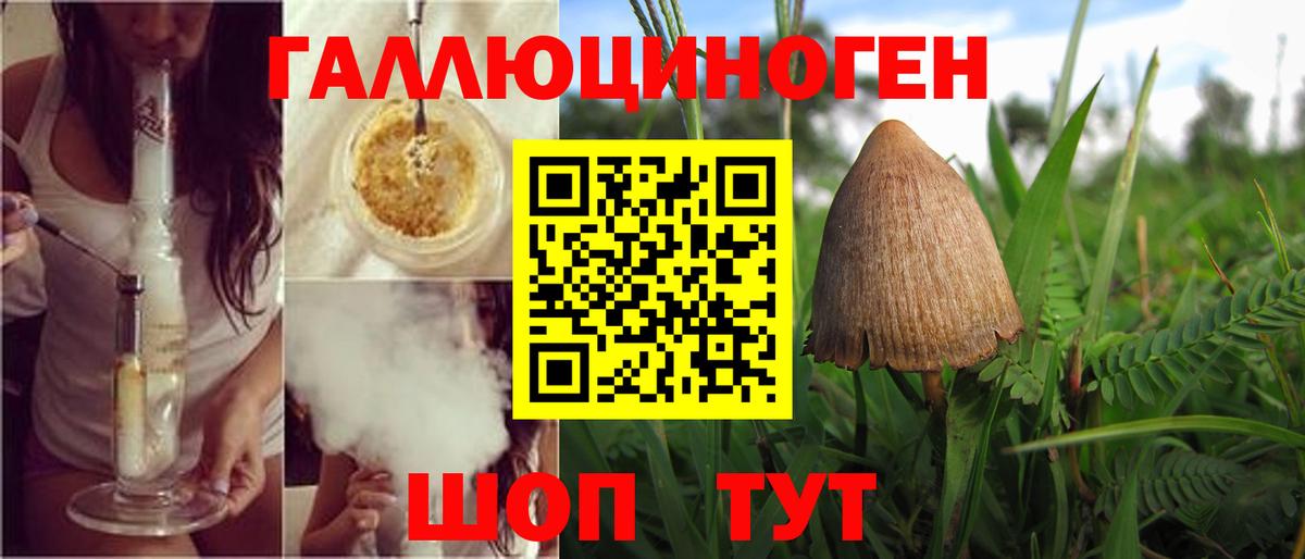 Мончегорск  Псилоцибиновые грибы Psilocybine cubensis  Вход с VPN  Псилоцибиновые грибы мицелий 